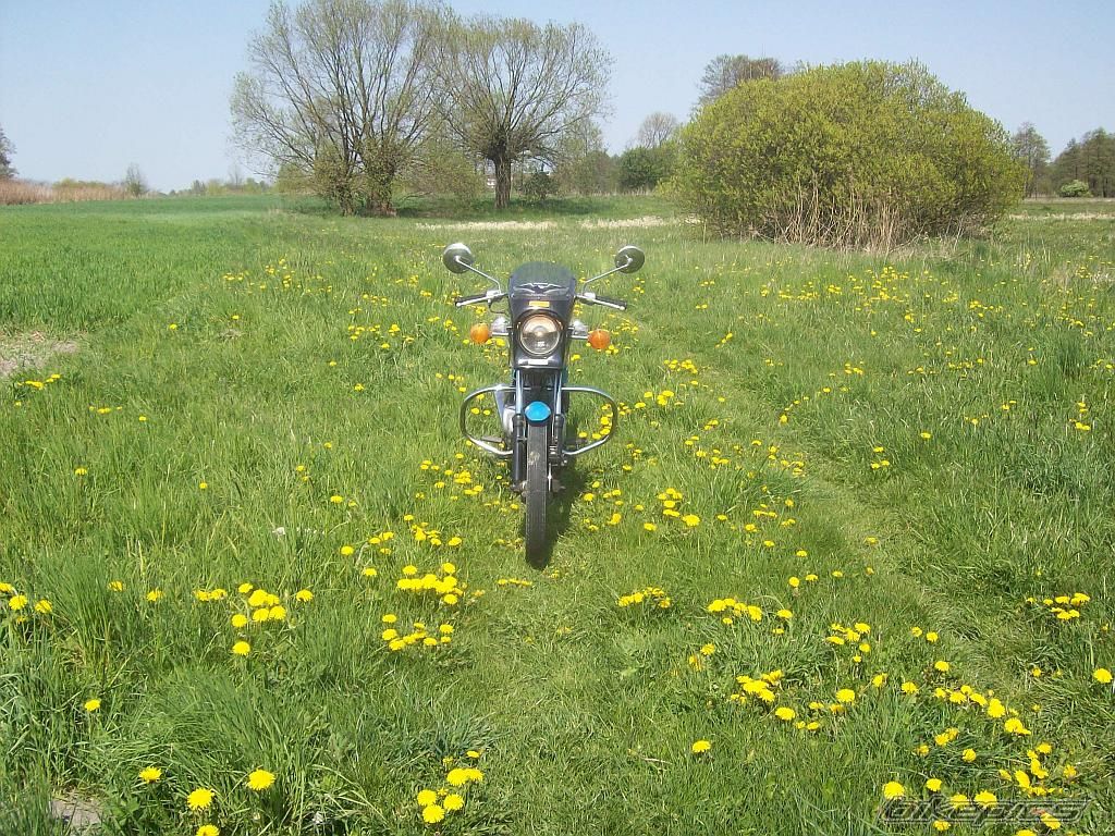 Bike Photo 1655437