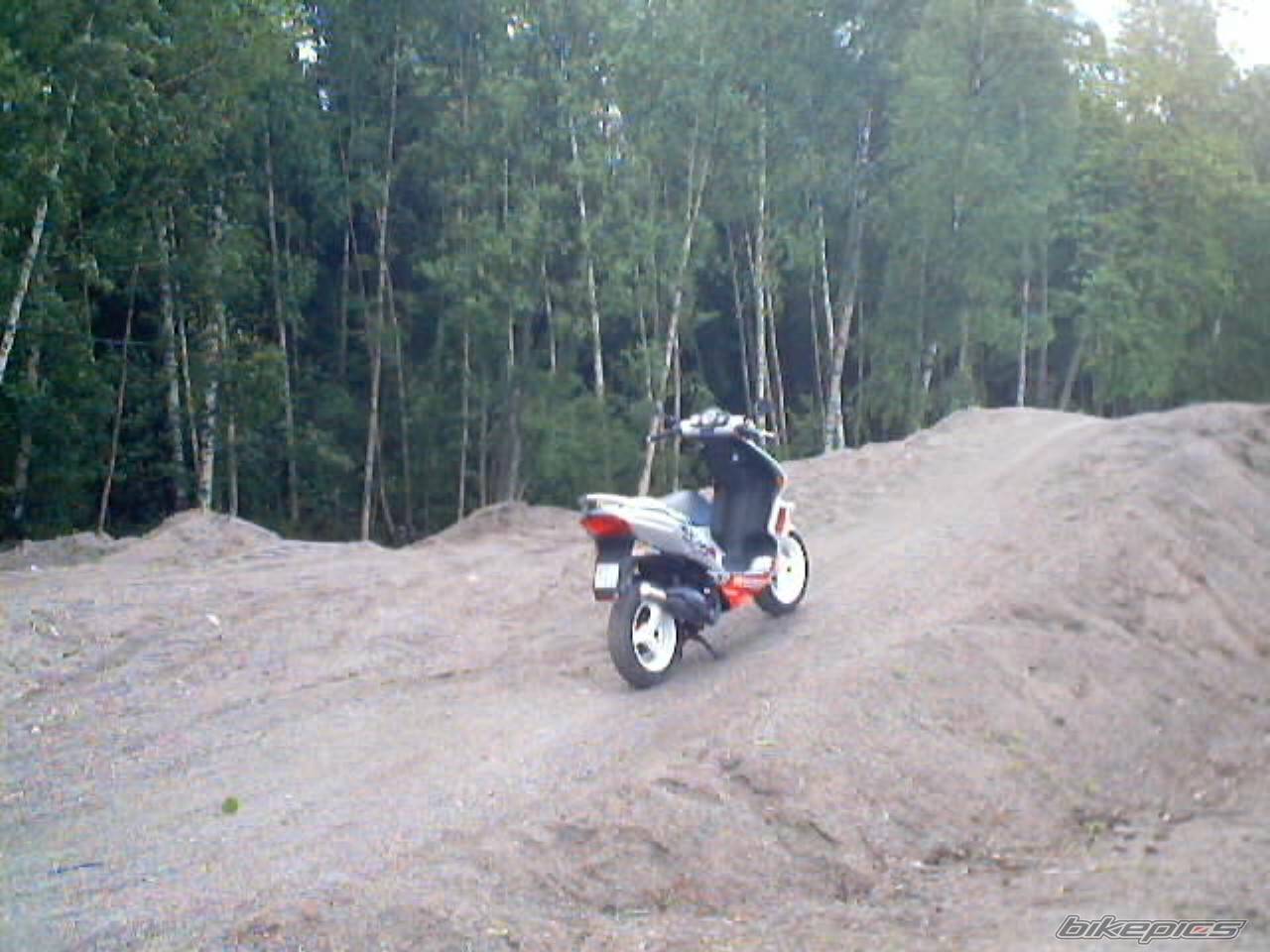 Photo 165545
