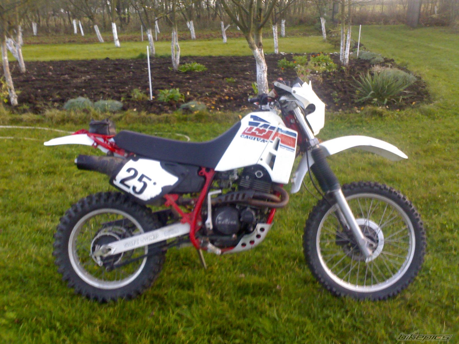 Bike Photo 1655468