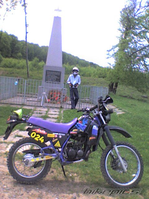 Photo 1655600
