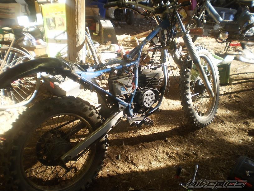 Photo 1655662