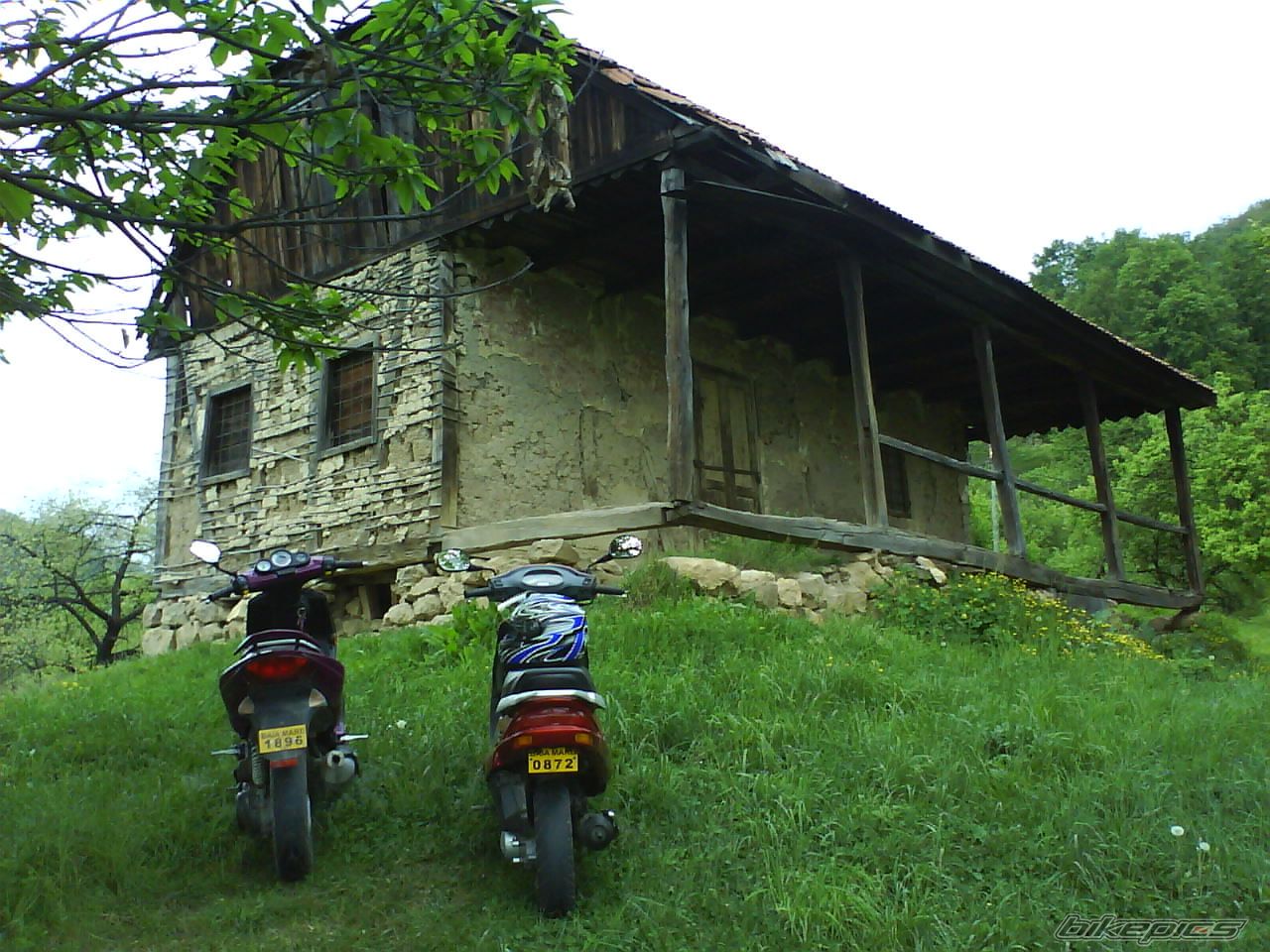 Photo 1655713