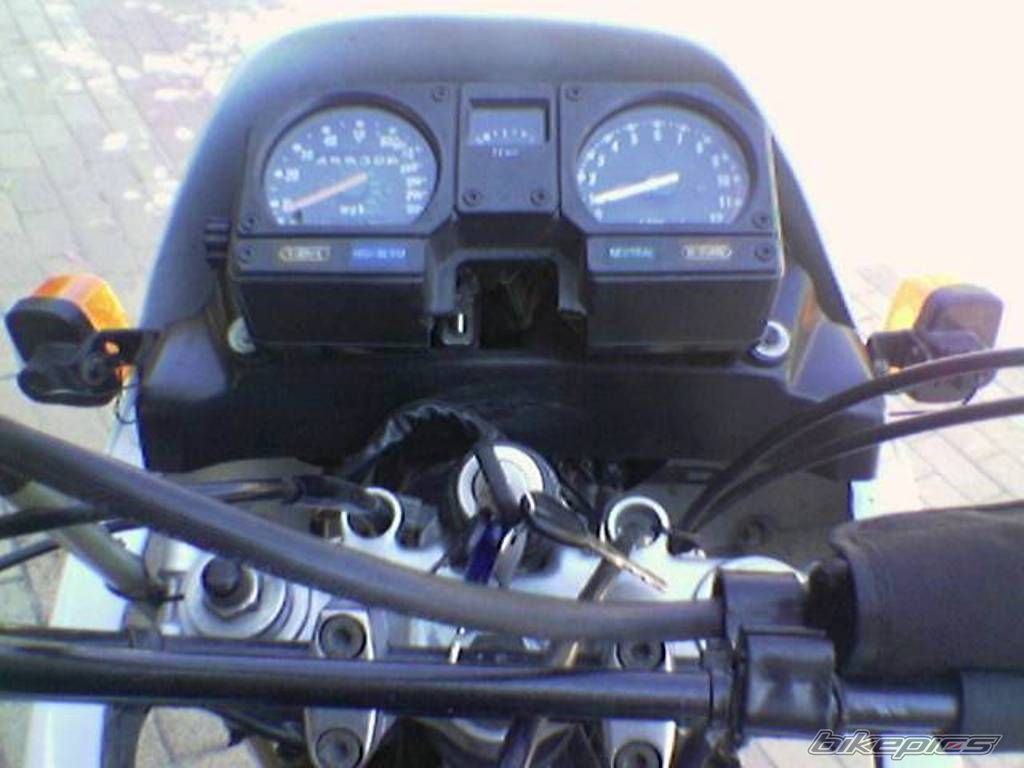 Photo 1655805