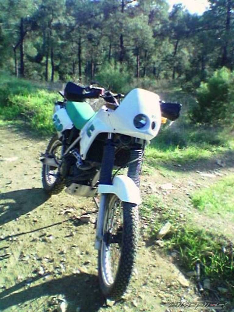 Photo 1655809