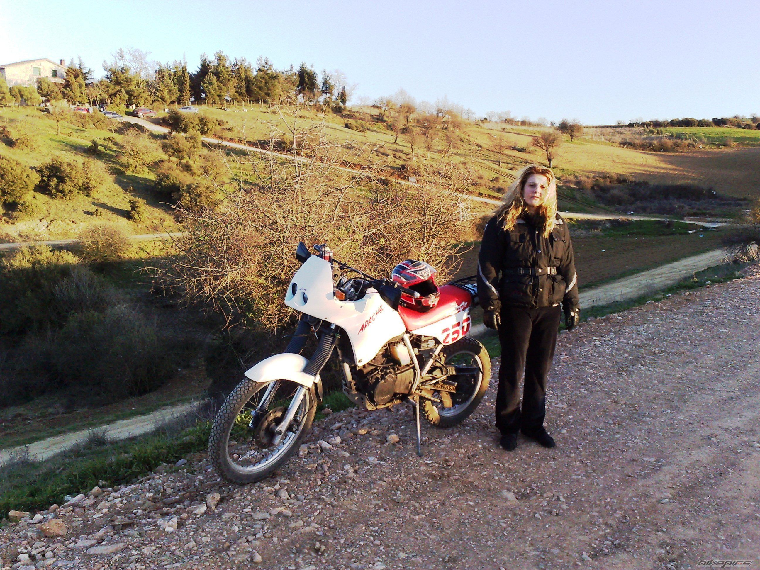 Photo 1655830