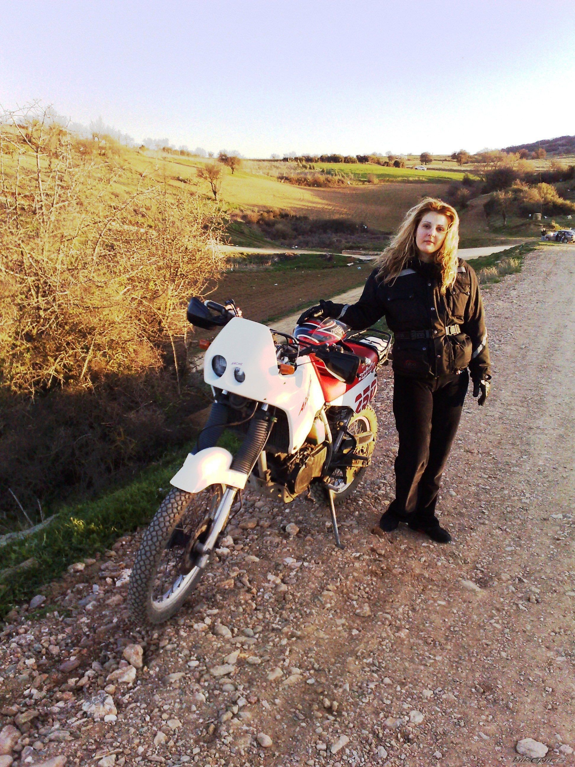 Photo 1655832