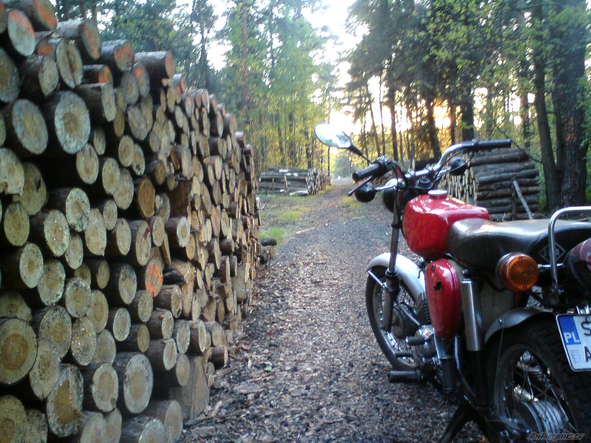 Bike Photo 1655838