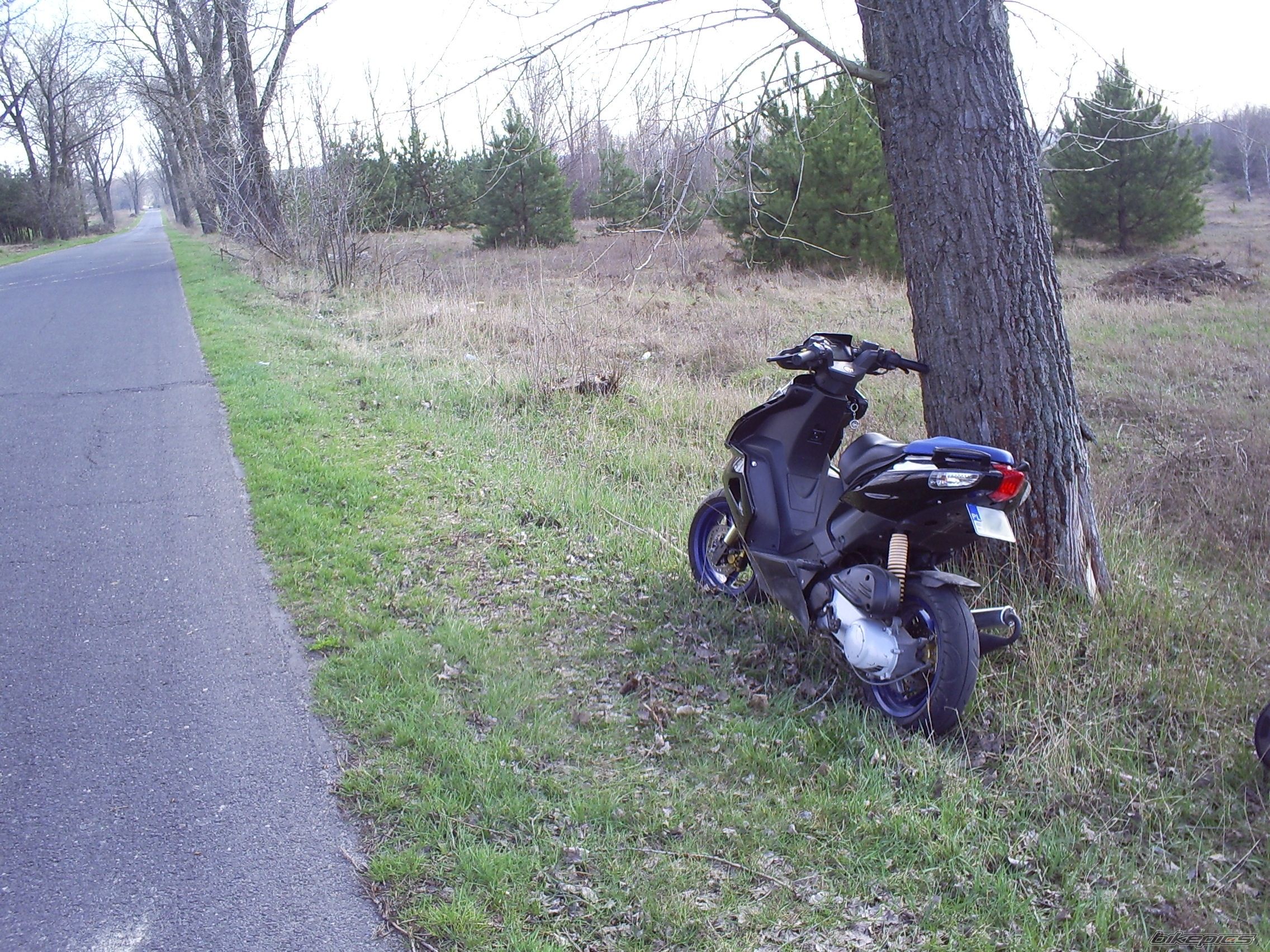 Bike Photo 1655939