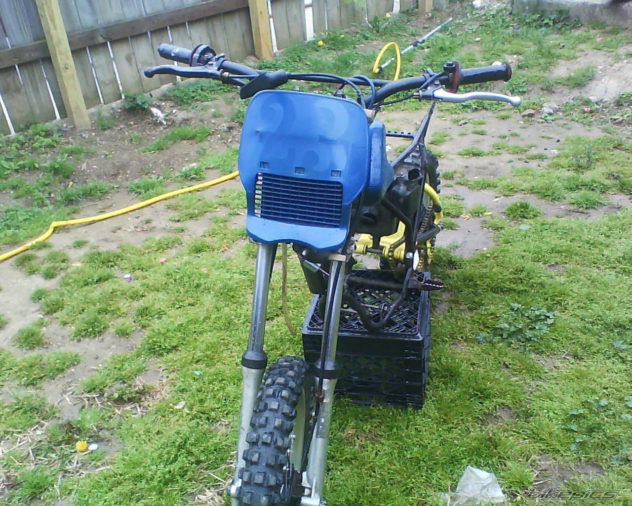 Photo 1655986
