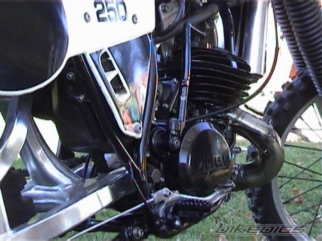 Photo 1656006
