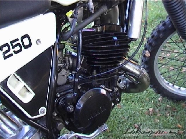 Bike Photo 1656007