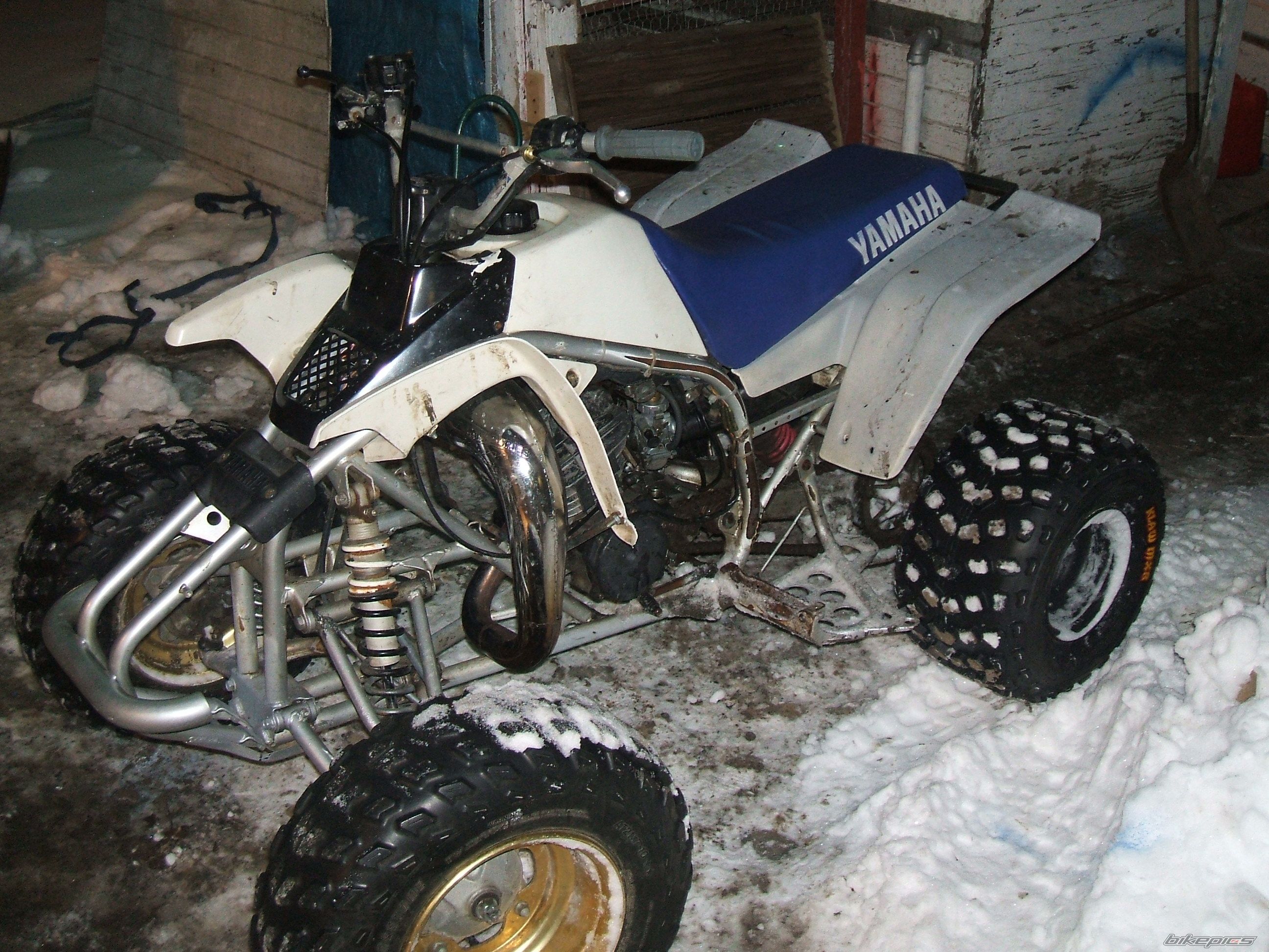 Photo 1656136