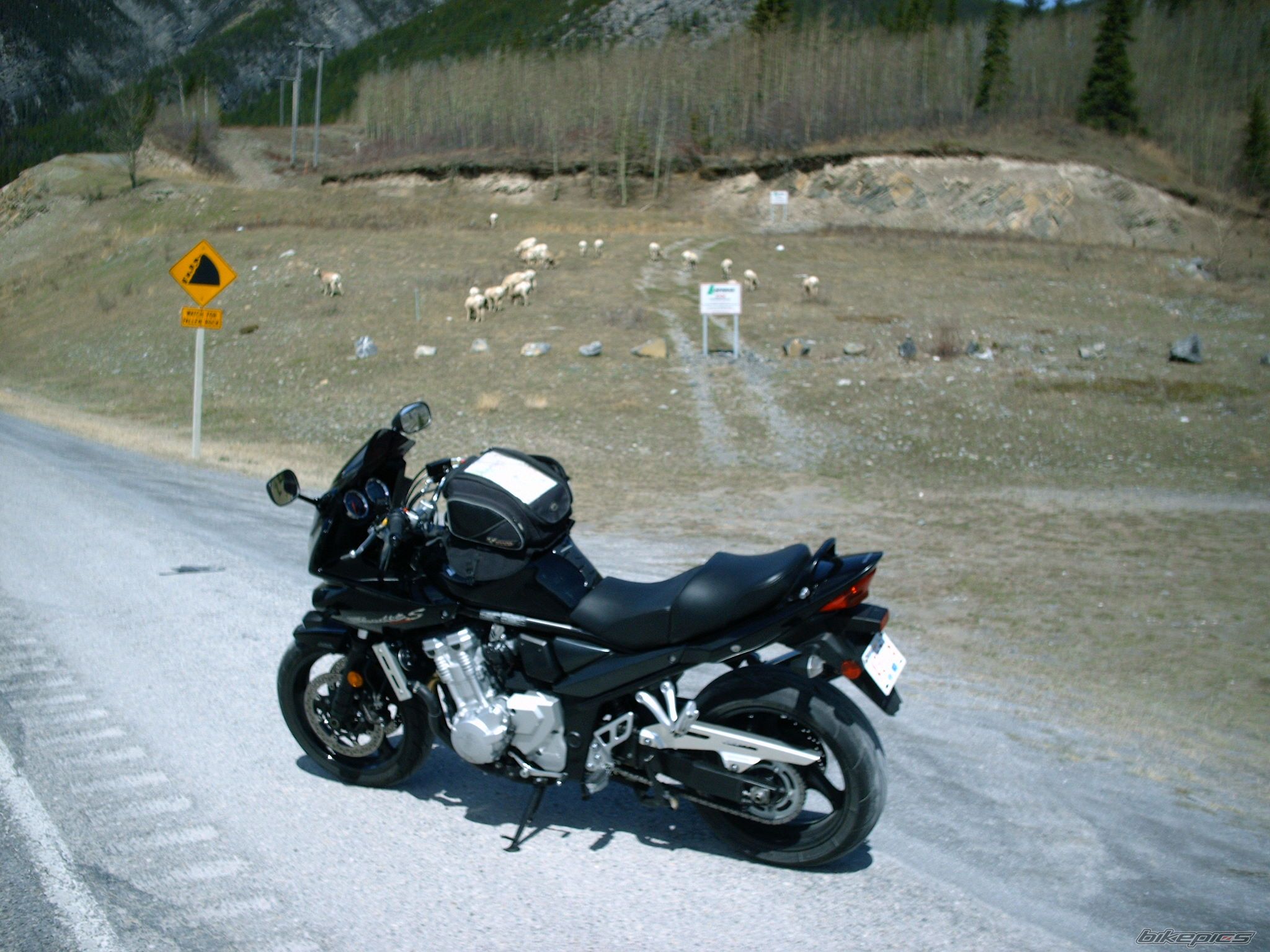 Bike Photo 1656207