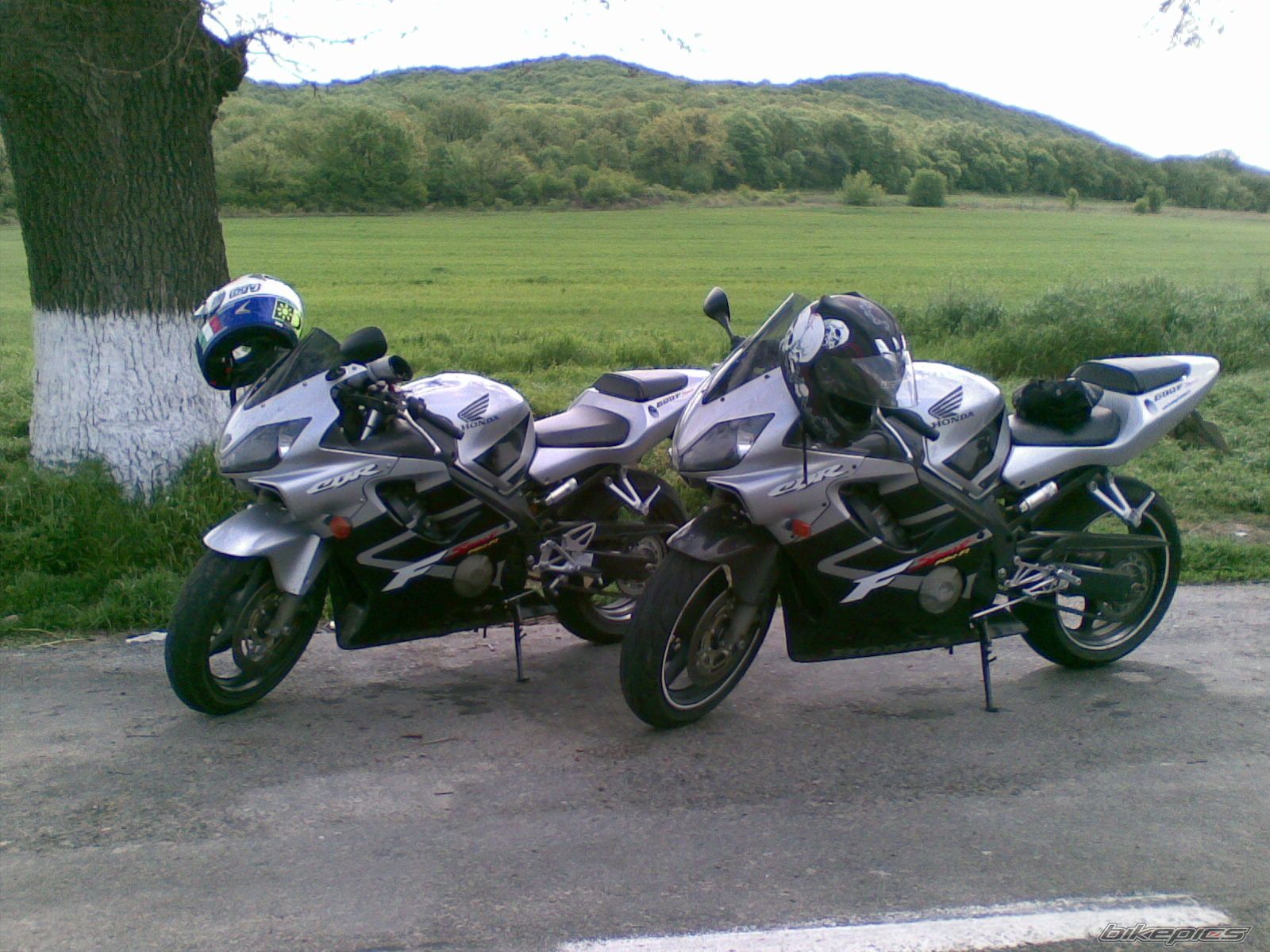 Photo 1656328