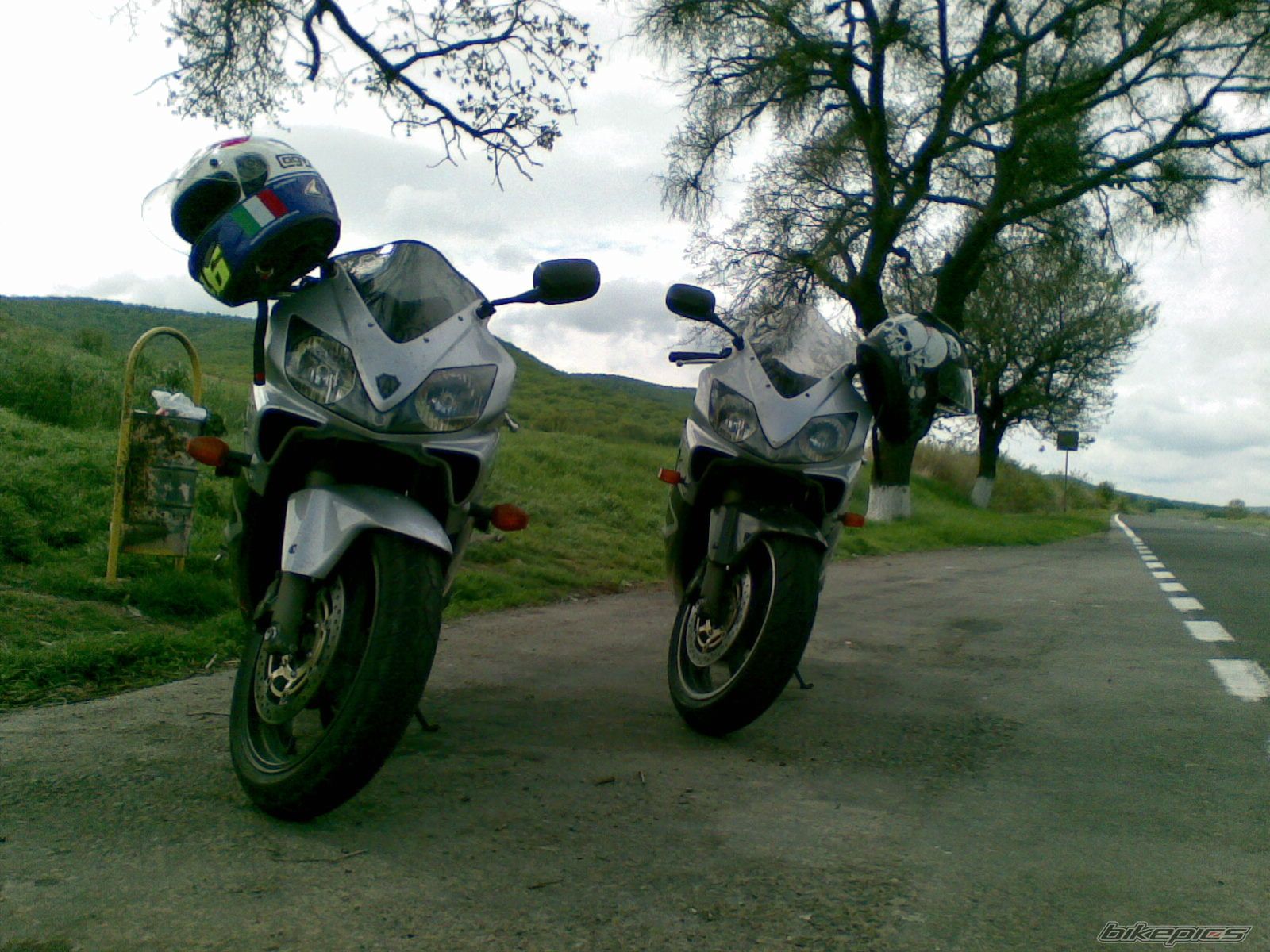 Photo 1656329