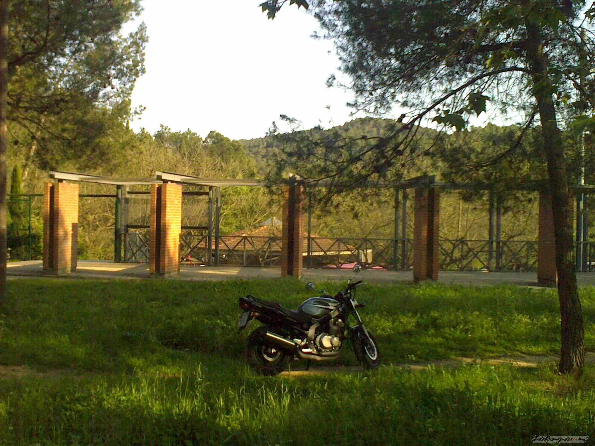 Photo 1656551