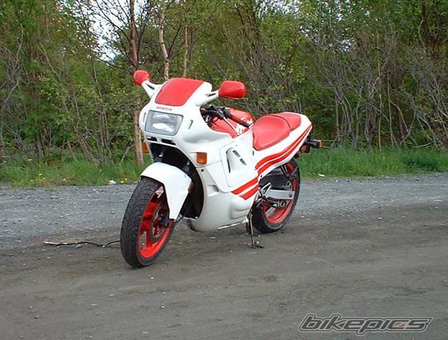 Photo 165665
