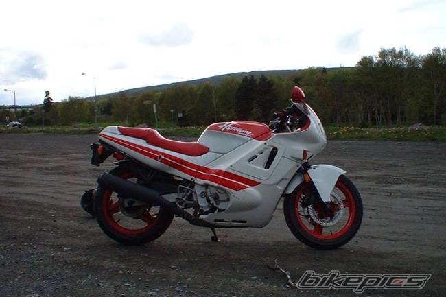 Photo 165668