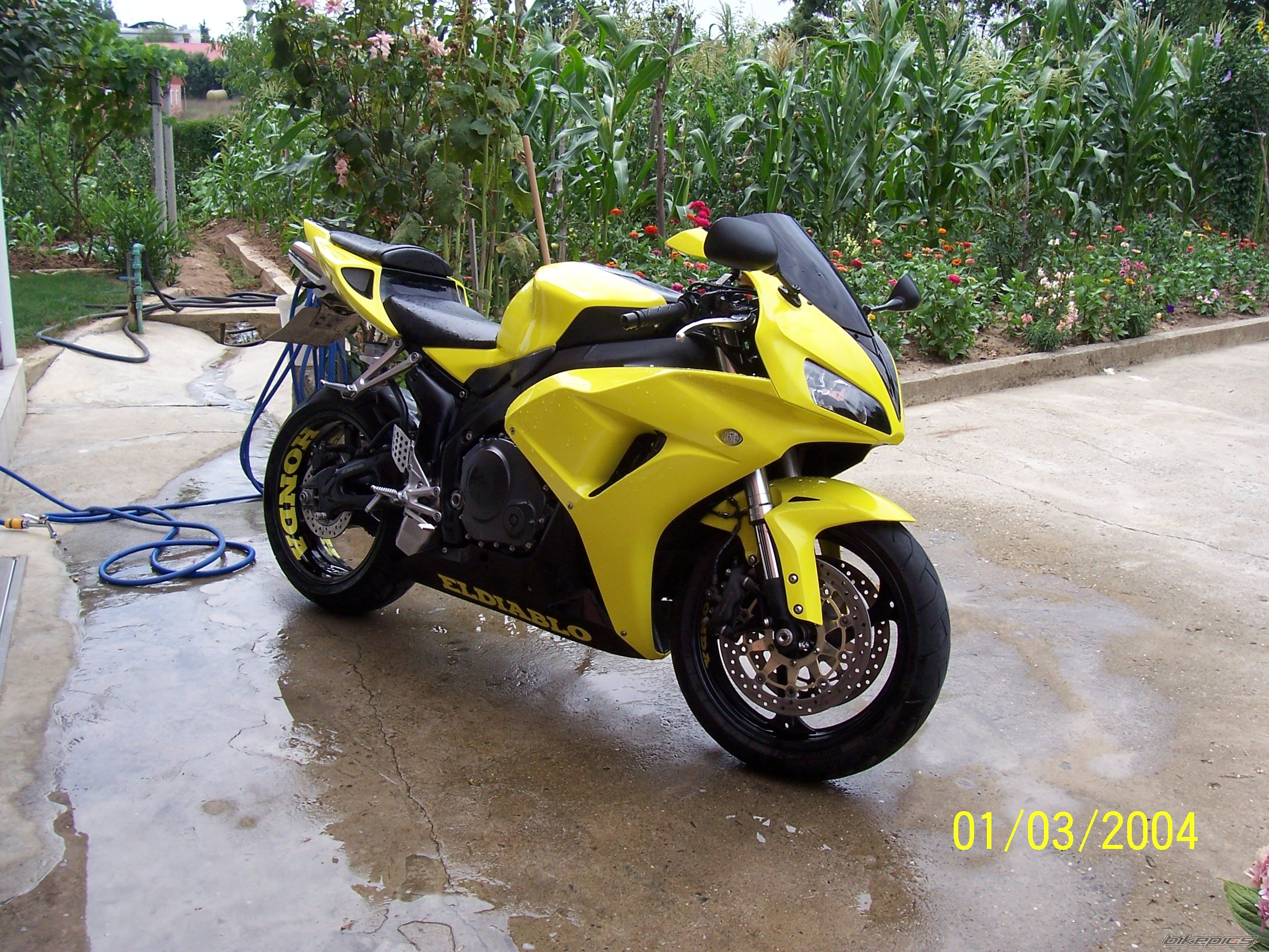 Photo 1656680