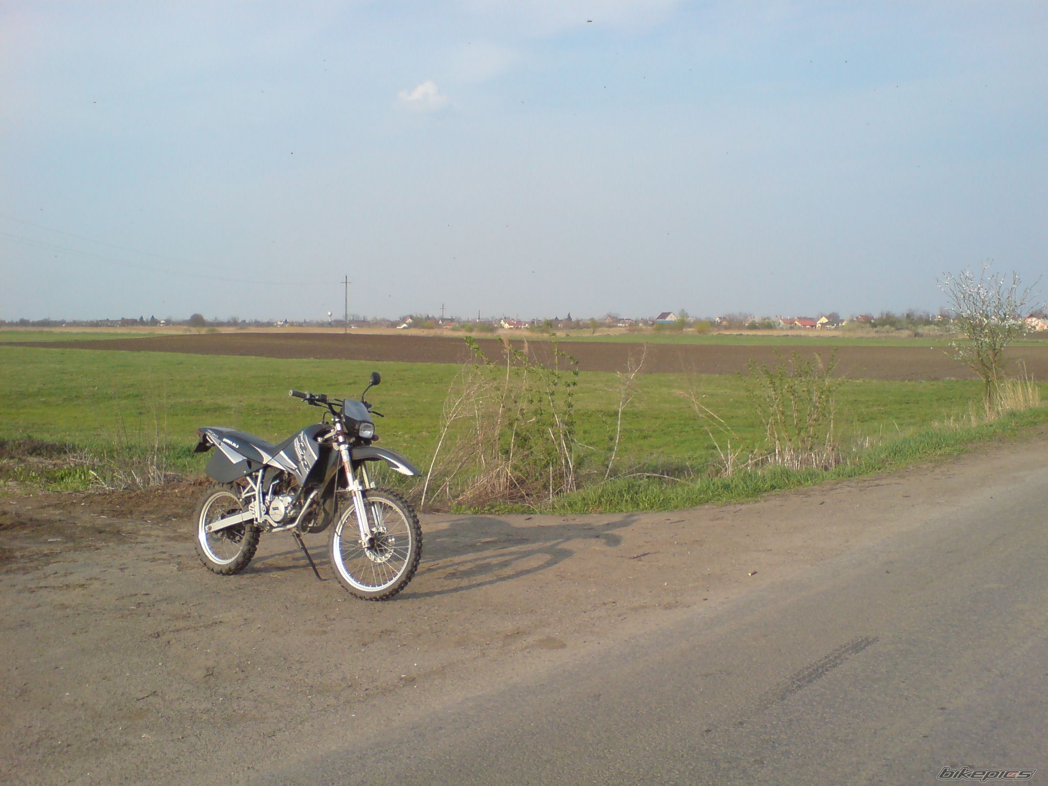 Photo 1656697