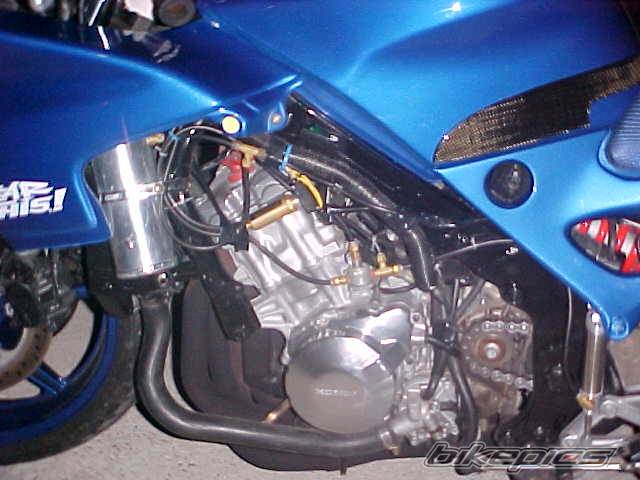 Photo 16567