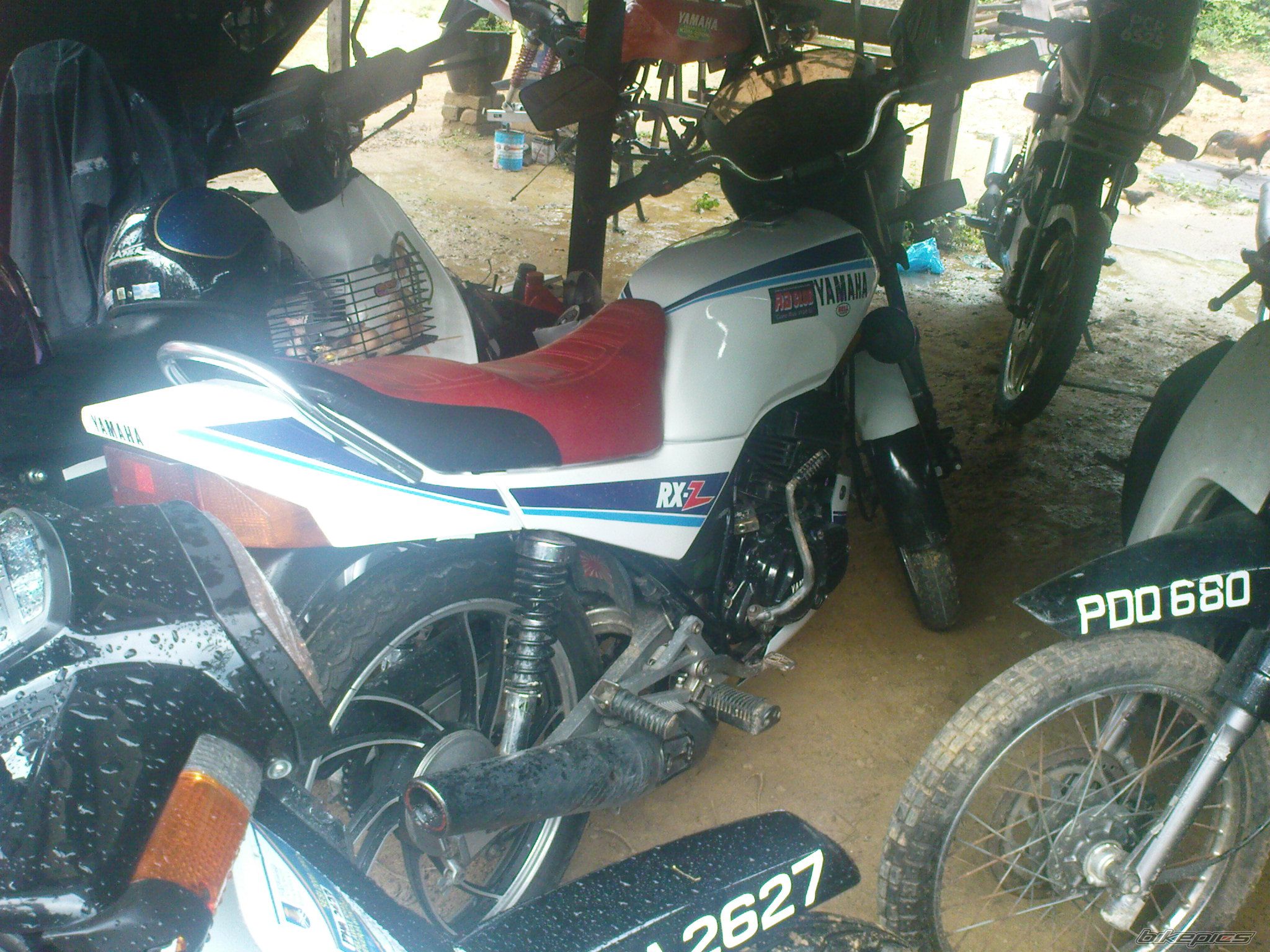 Photo 1656704