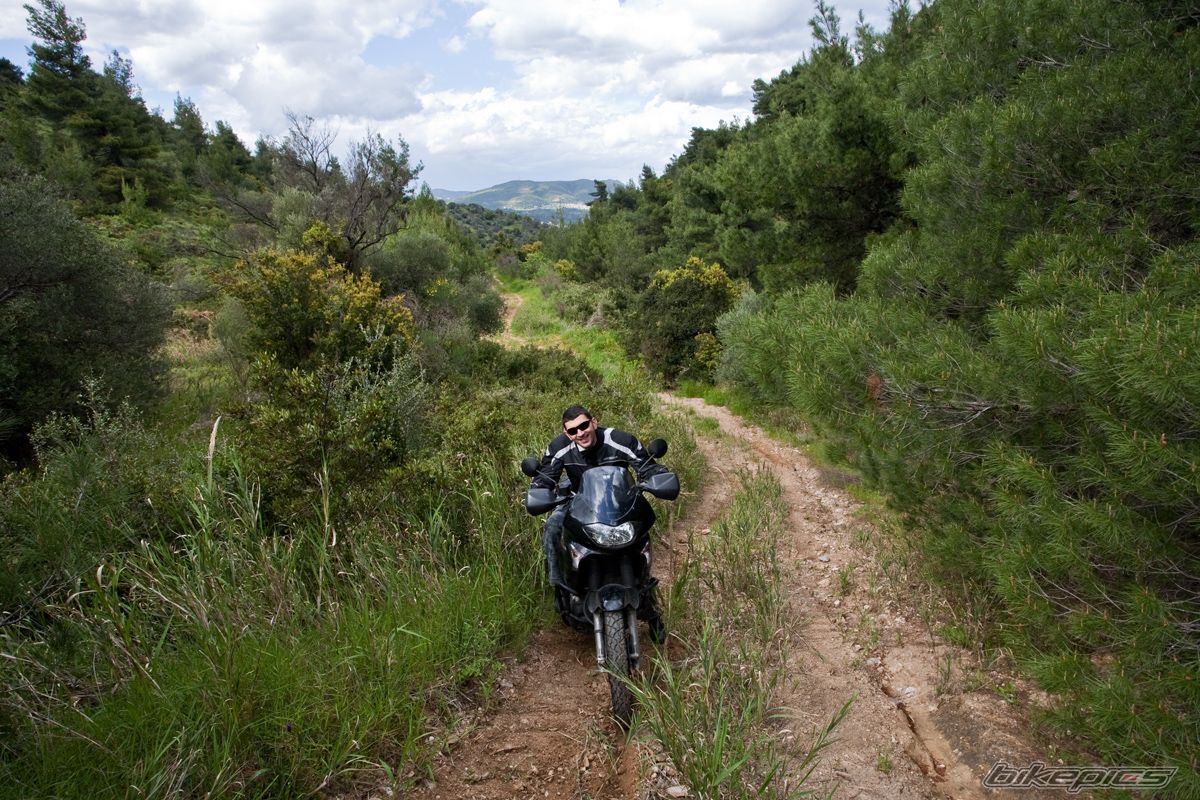 Bike Photo 1656846