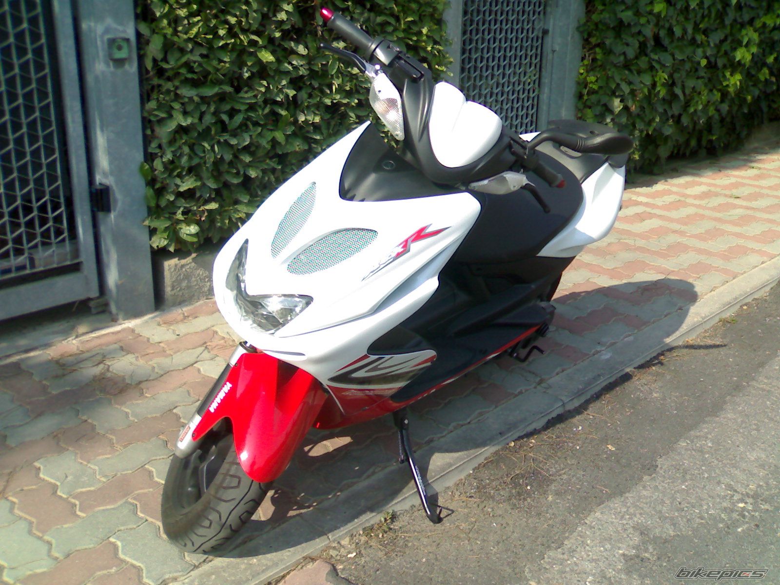 Photo 1656867