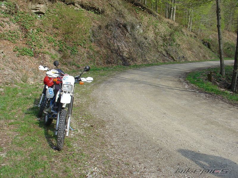 Photo 1656917