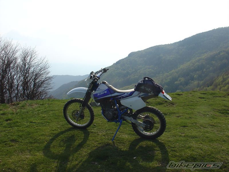 Photo 1656924
