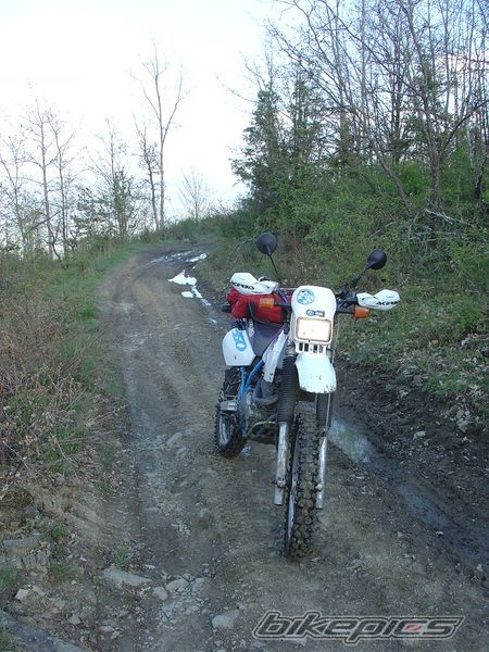 Photo 1656927