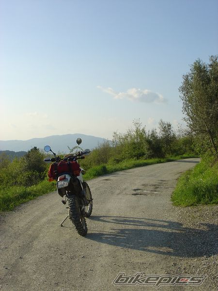 Photo 1656928