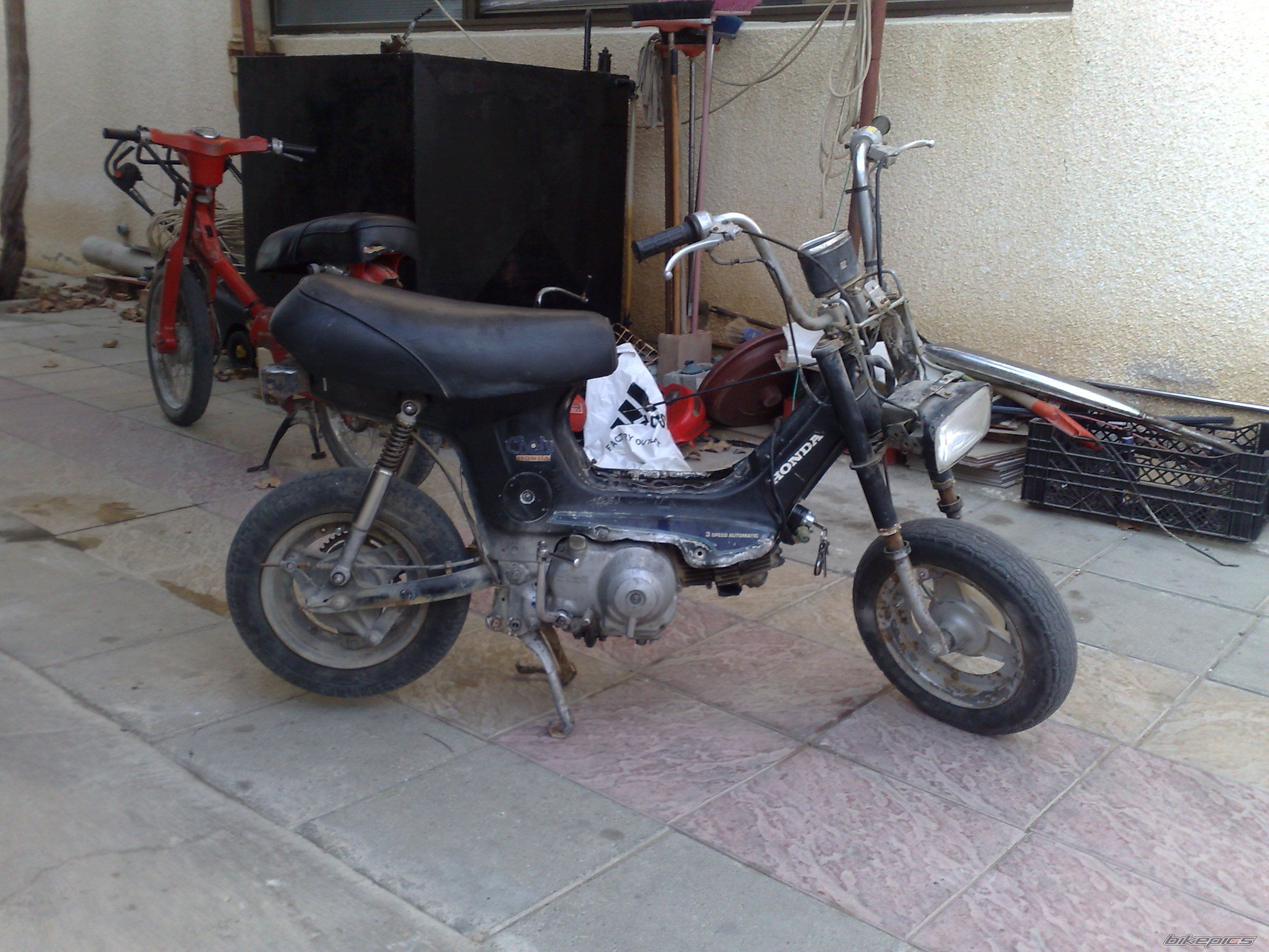 Photo 1657031