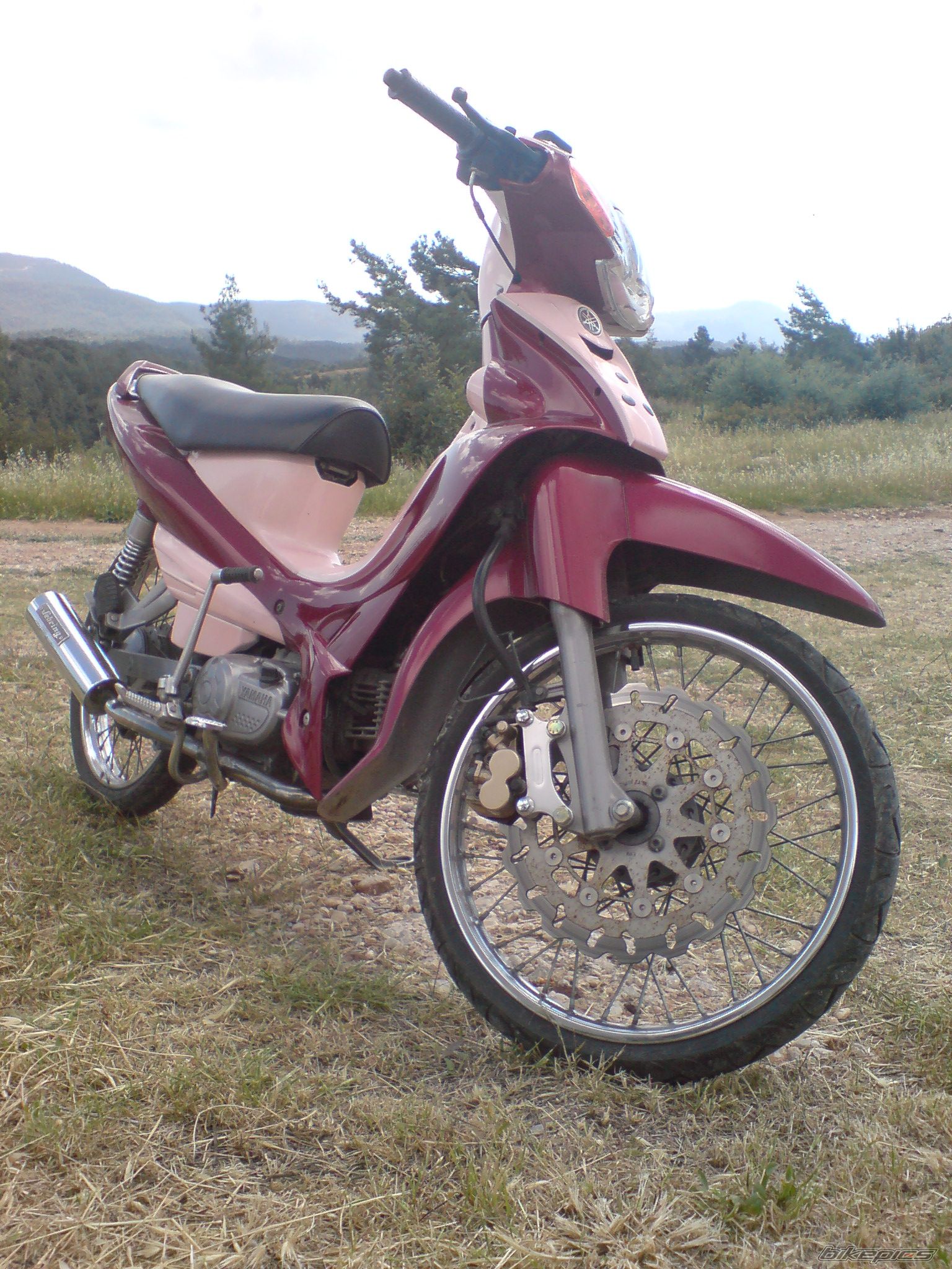 Photo 1657044