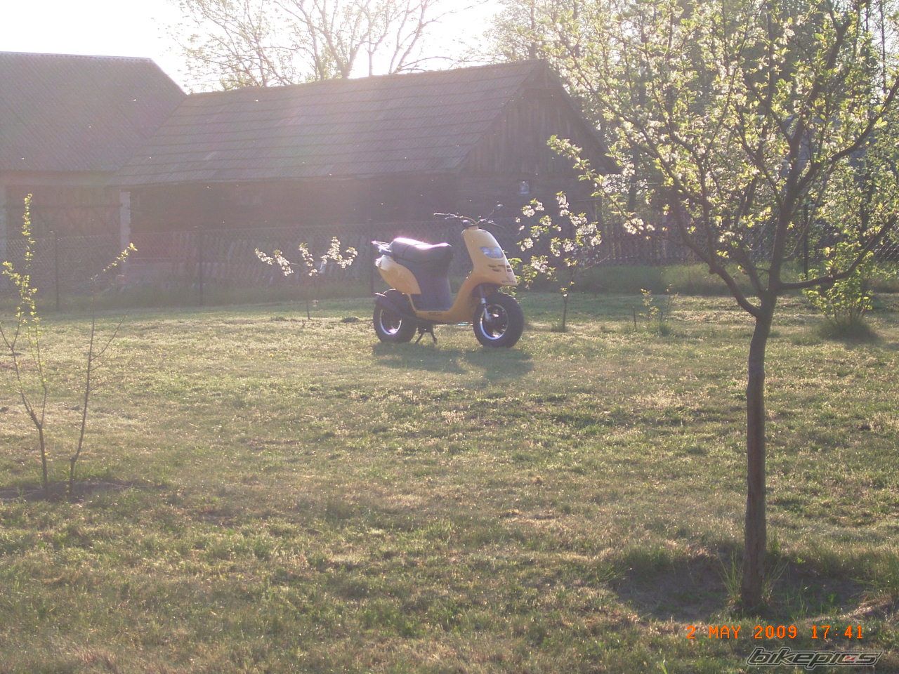Photo 1657122