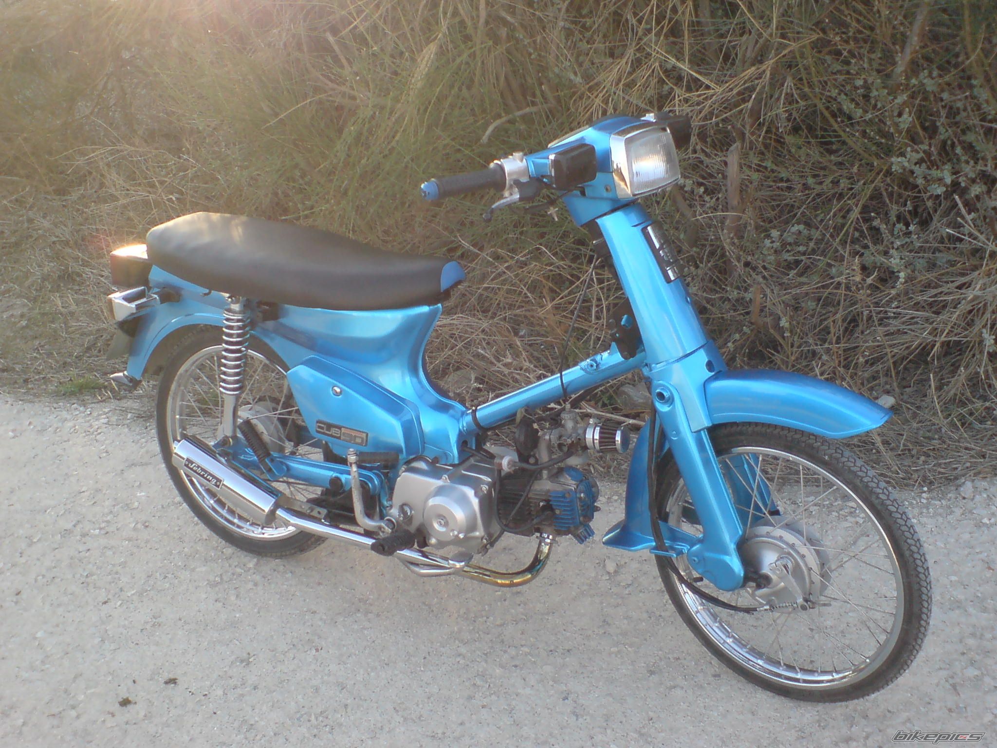 Photo 1657159