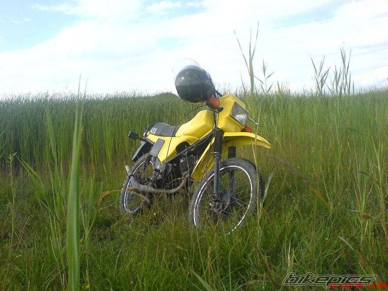 Photo 1657176