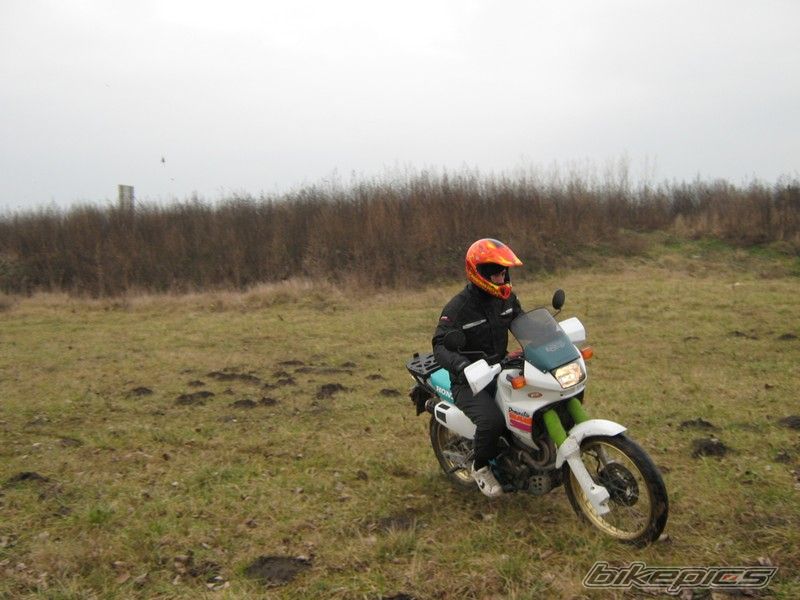 Photo 1657213