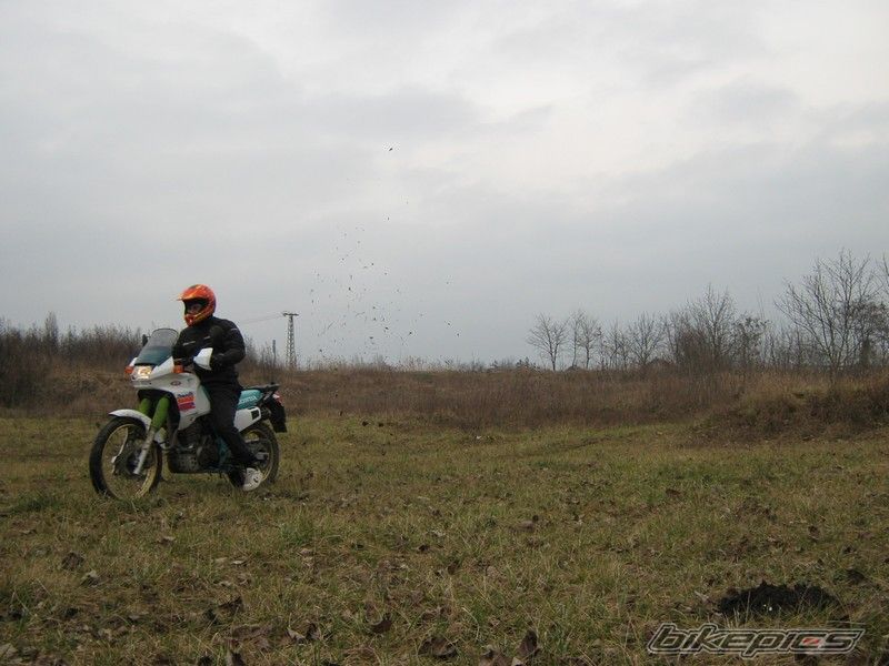 Photo 1657214