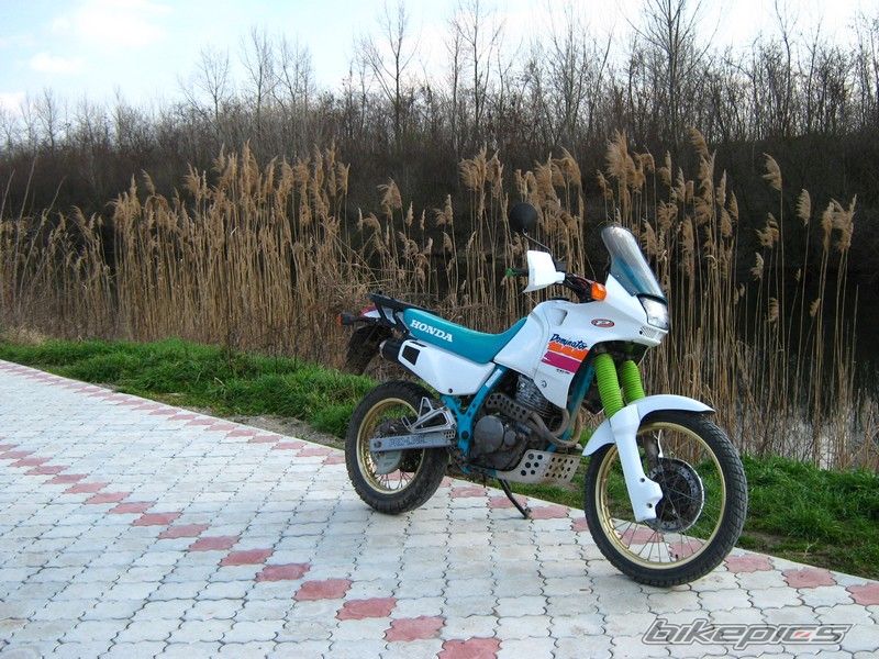 Photo 1657218