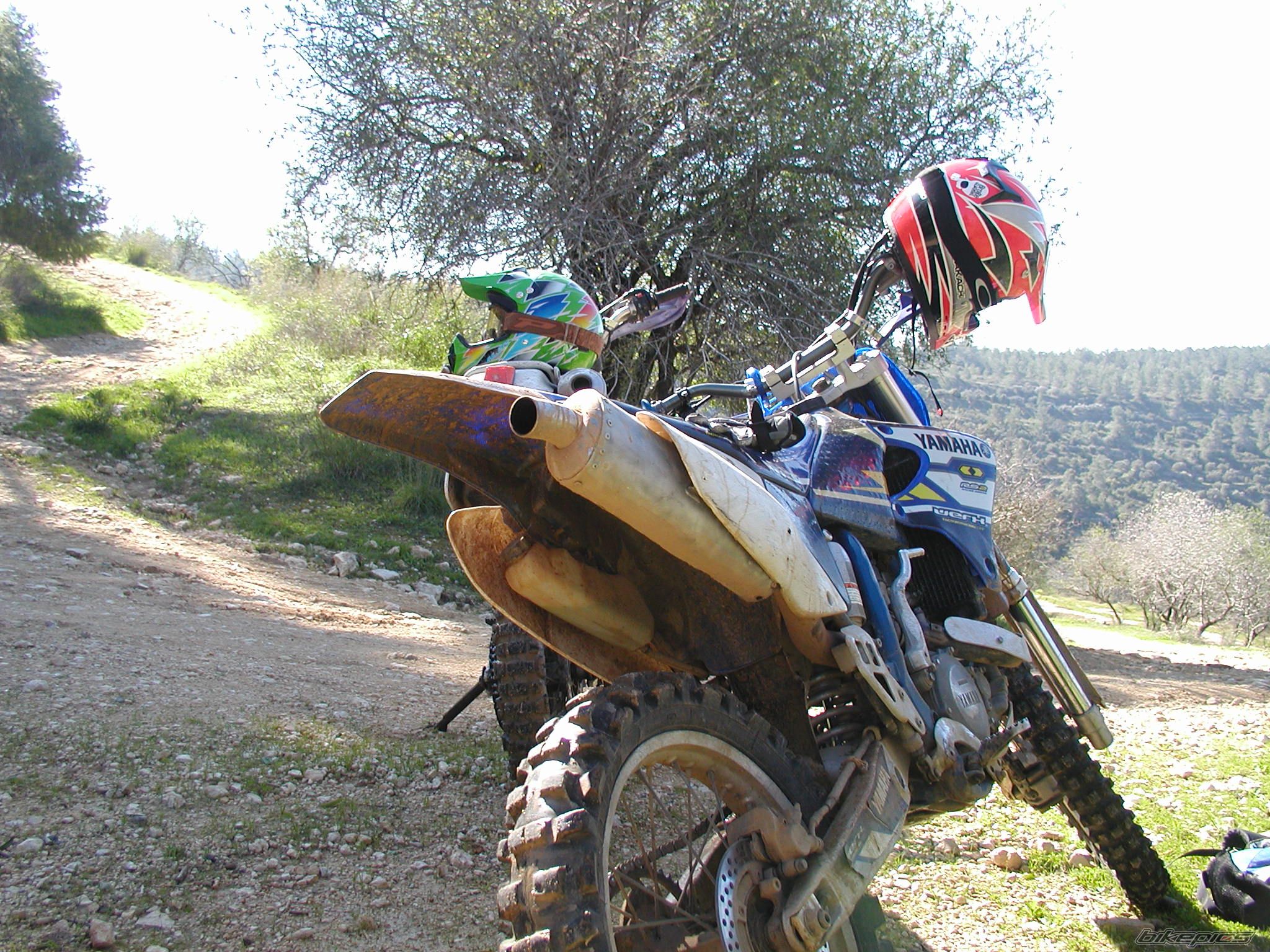 Photo 1657257