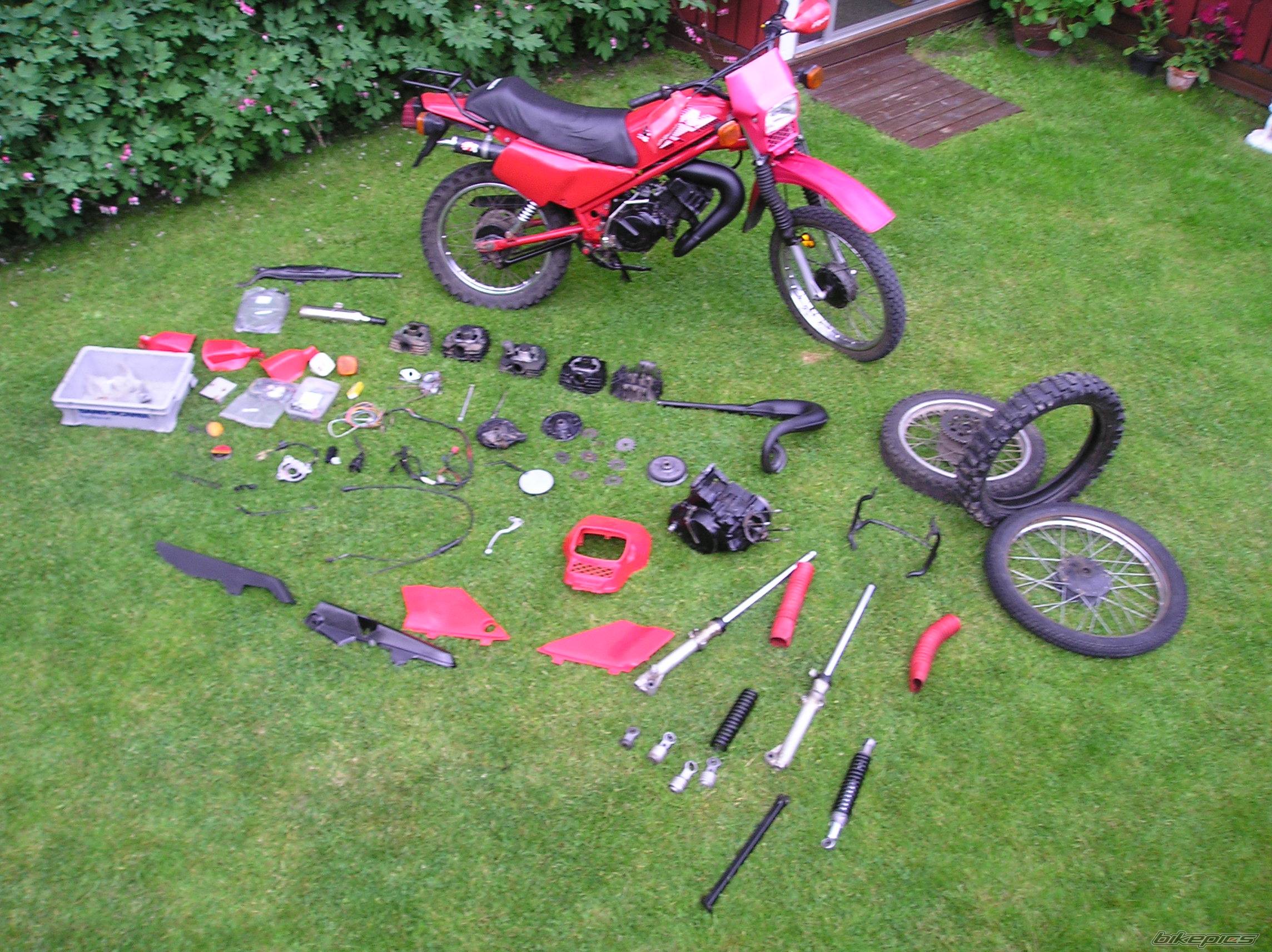 Photo 165726