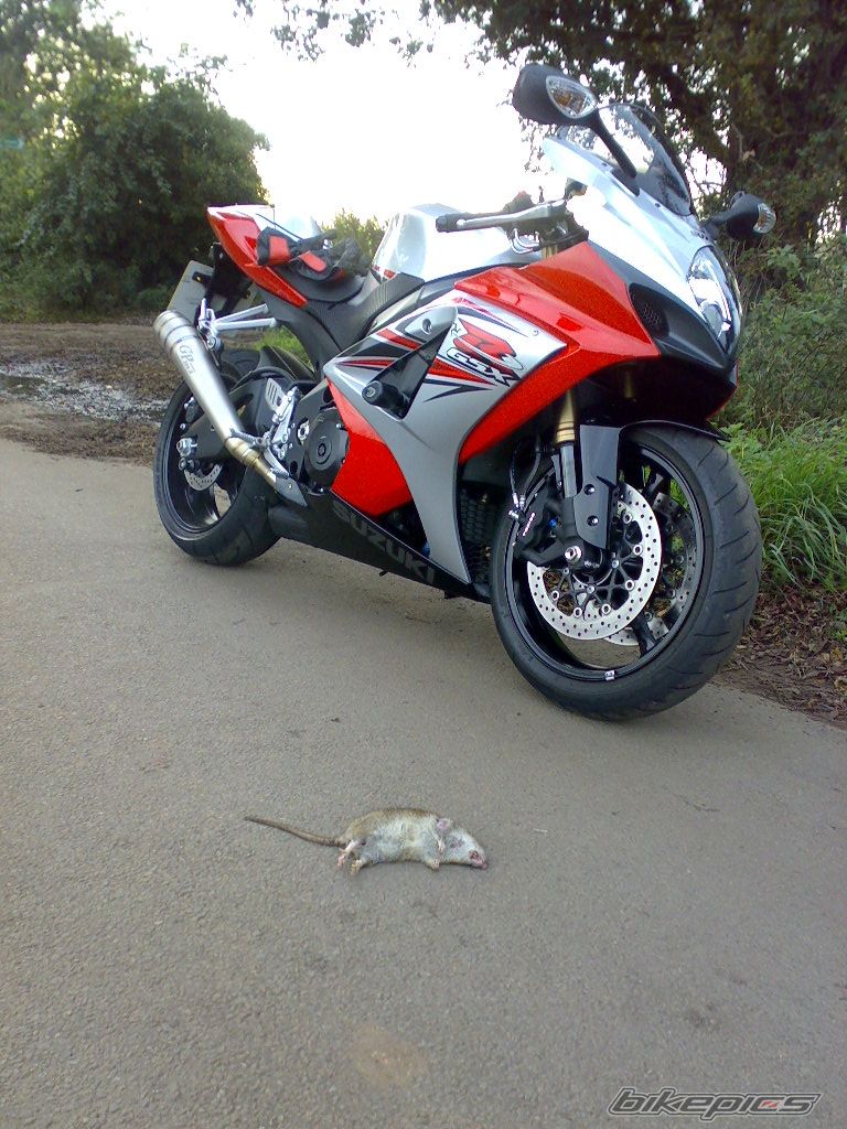 Photo 1657310