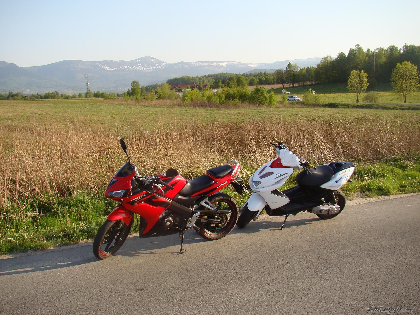 Photo 1657340