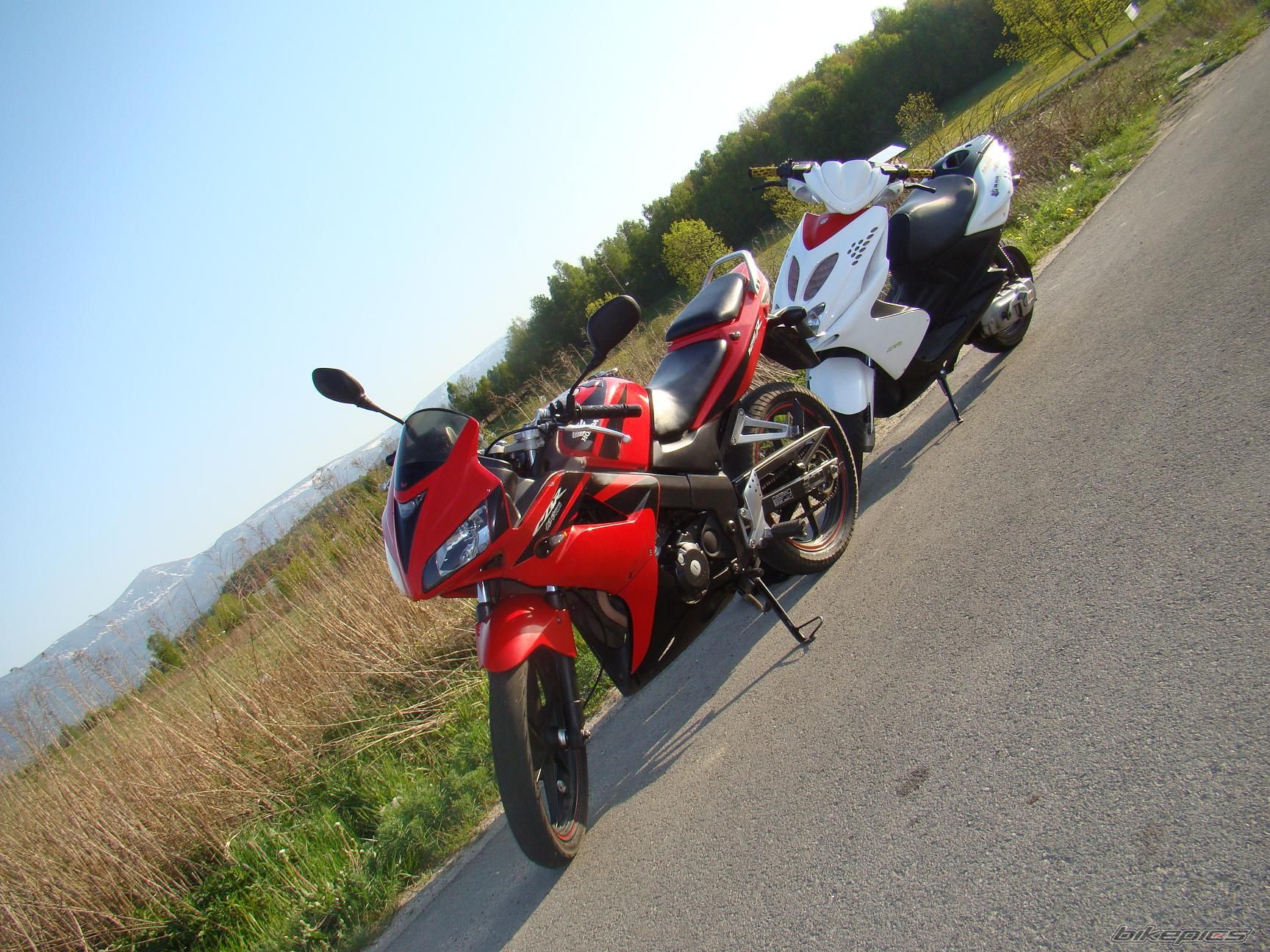 Photo 1657341
