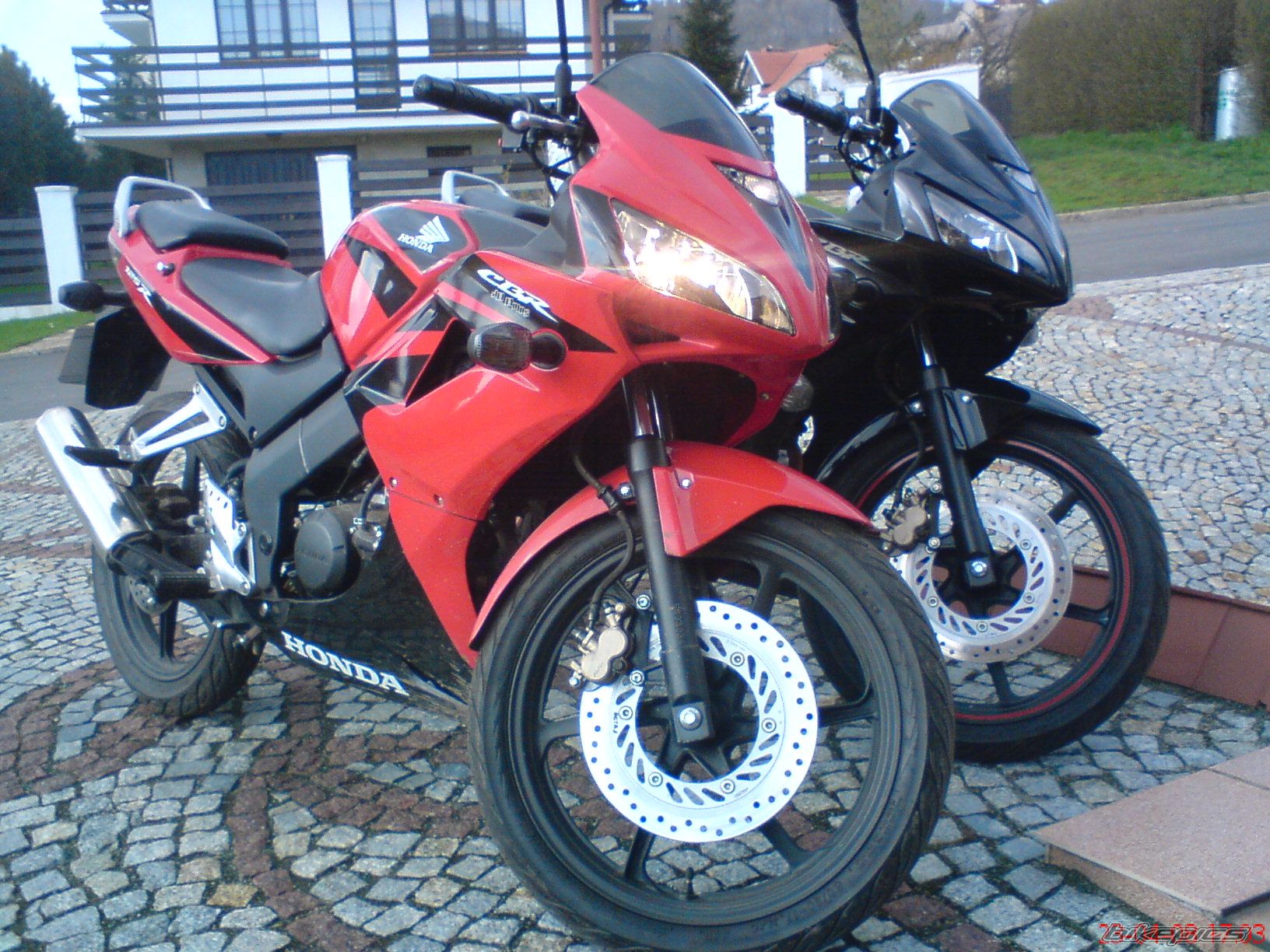 Photo 1657347