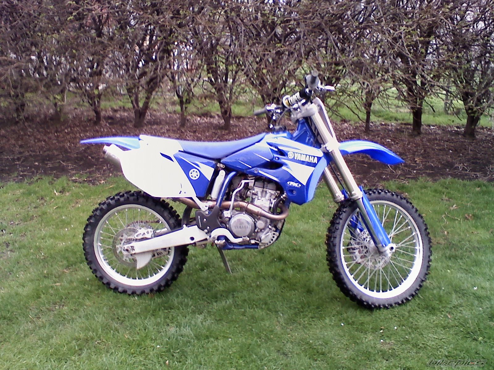 Photo 1657462