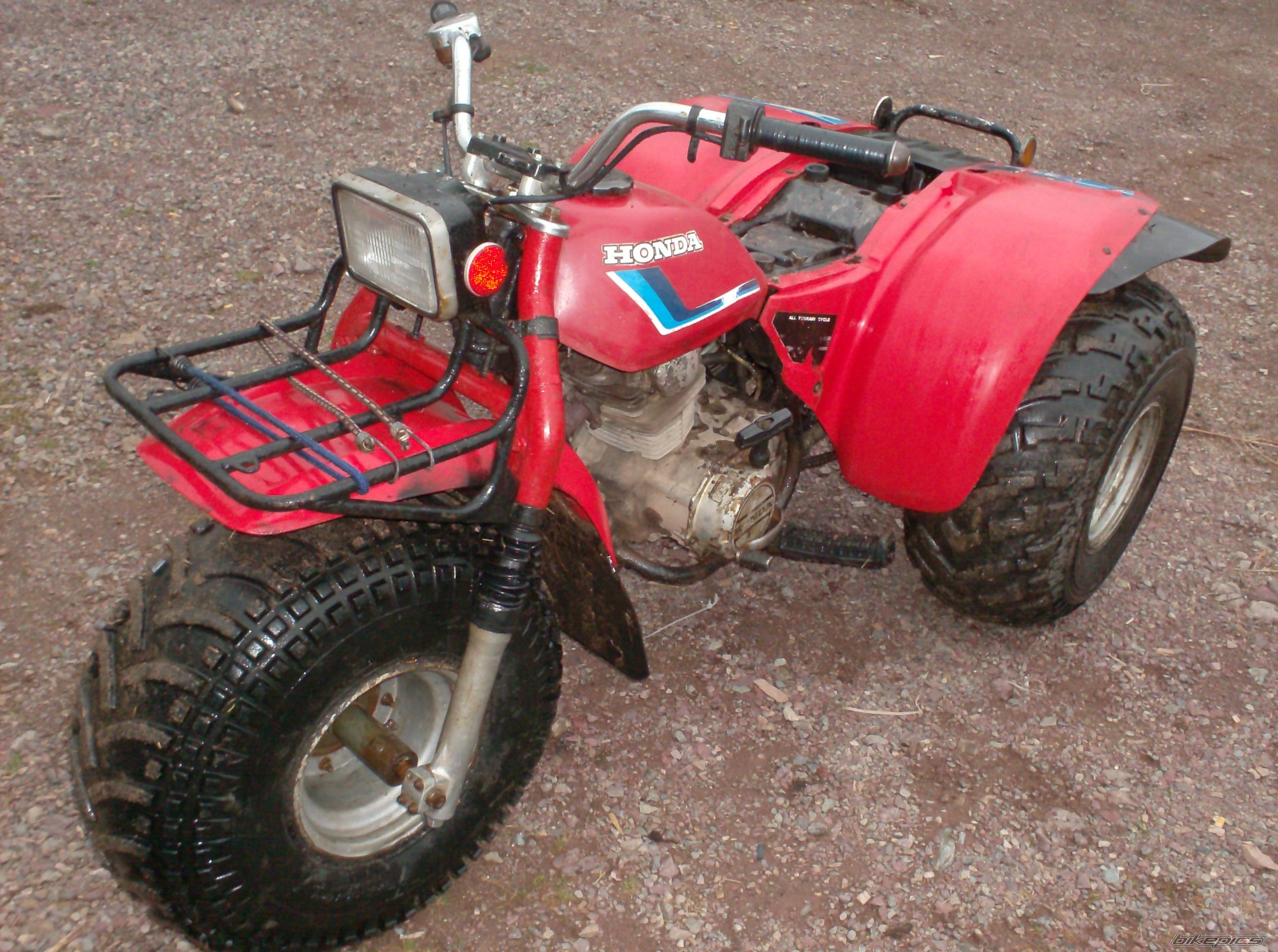 Photo 1657509