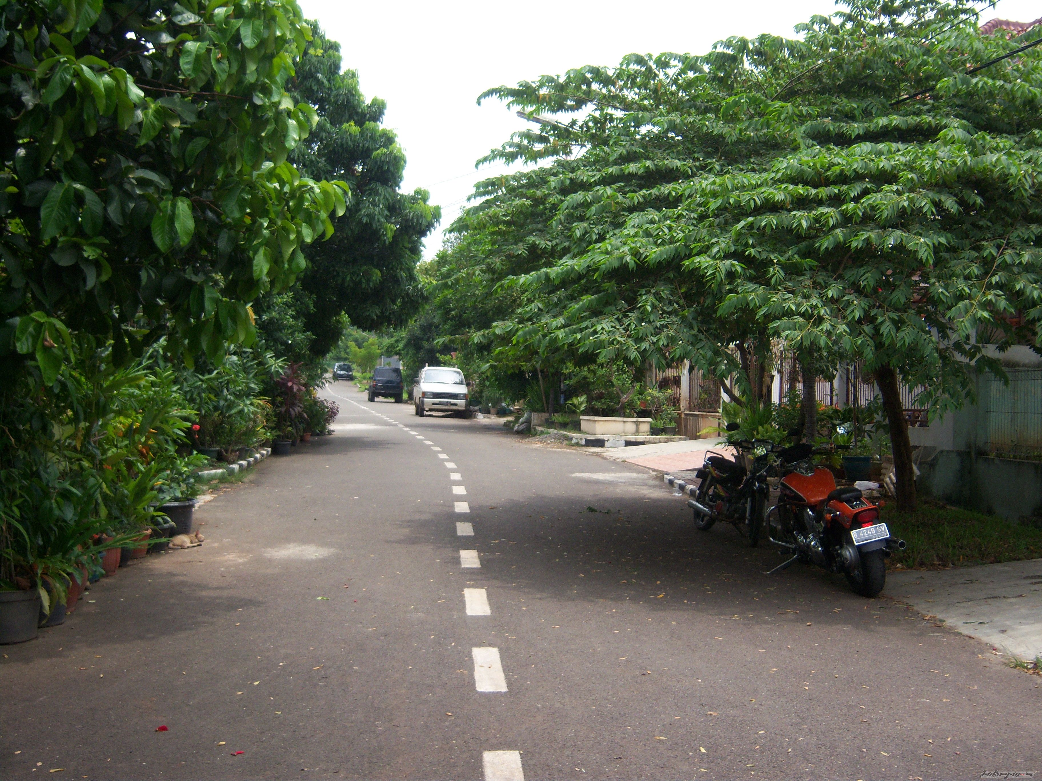Photo 1657542