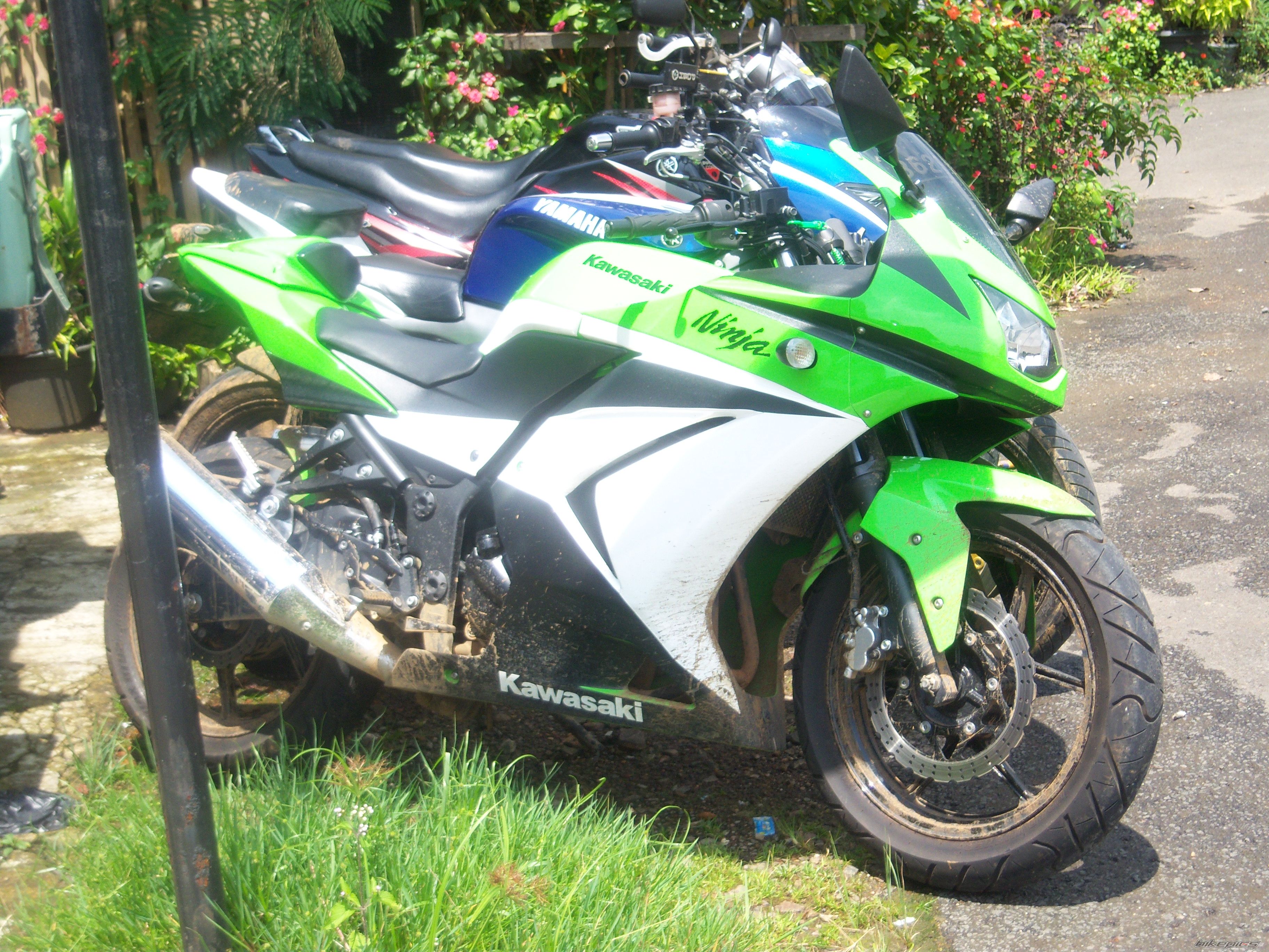 Photo 1657571